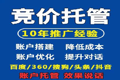 SEM推广实战：成功案例剖析