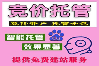 案例解读：SEM推广代运营公司助力企业转型